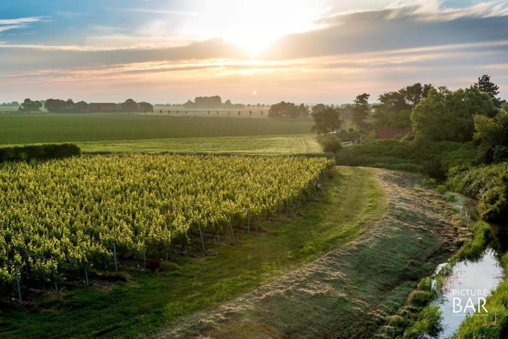 Wine-Barrel Rivaner Dreischor Exteriér fotografie